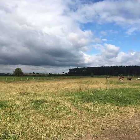 Gestuet Lindenhof Templin