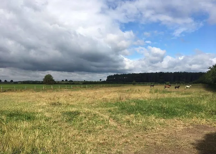 Gestuet Lindenhof Templin